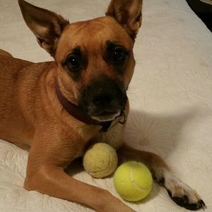 Meet your Posher, Jackie